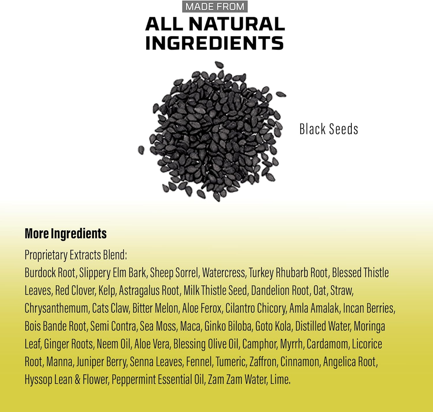 Black Seed Bitters - Powerful Natural Supplement for Immune Support, Joint Health, Digestion & Radiant Skin - 16 Oz Super Antioxidant